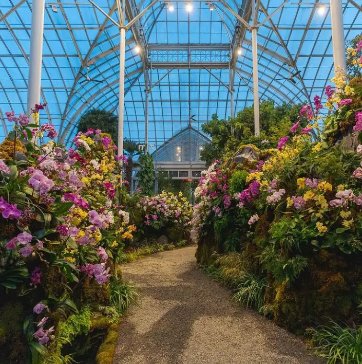 TOP 10 BOTANICAL GARDENS IN THE USA